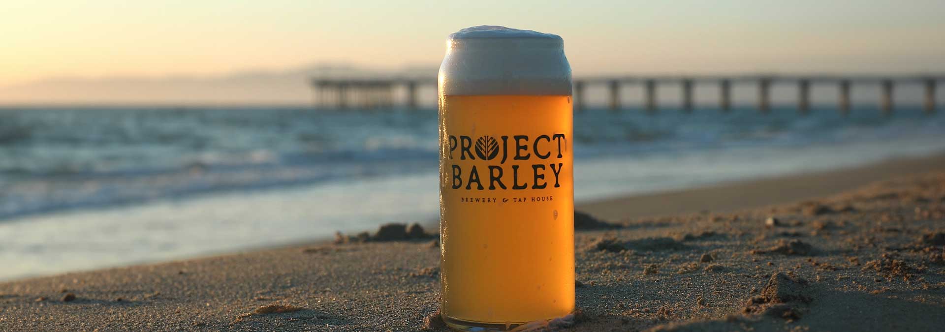 A freshly poured Project Barley craft beer